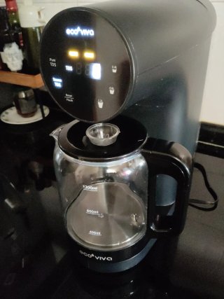 Purificador de agua Eco Viva
