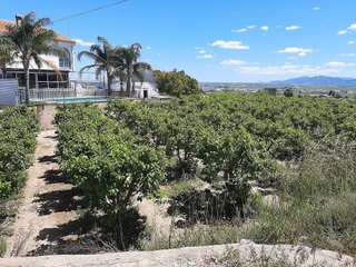Solar en venta en Alginet