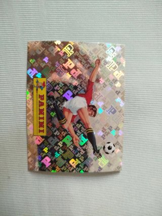 Cromo Mundial Panini