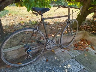 Bicicletta anni 60/70 Campagnolo