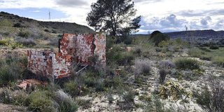Terreno en venta en Jubalcoi en Elche