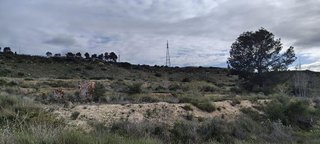 Terreno en venta en Jubalcoi en Elche