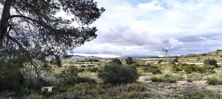 Terreno en venta en Jubalcoi en Elche
