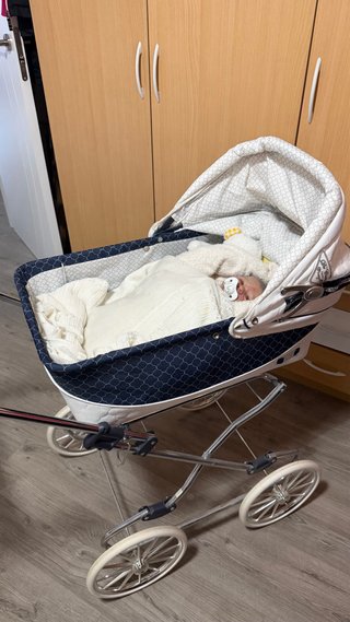 Cochecito Muñecas Reborn Clásico
