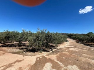 Terreno en venta en Centro en Alcanar
