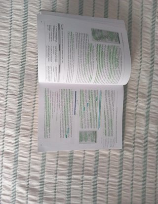 Psicología del desarrollo II