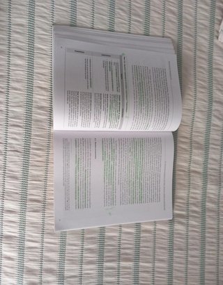 Psicología del desarrollo II