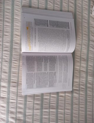 Psicología del desarrollo II