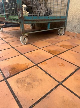 Jaula grande para pájaros o animales