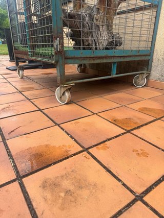 Jaula grande para pájaros o animales
