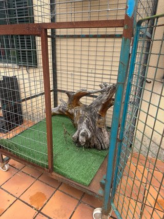 Jaula grande para pájaros o animales