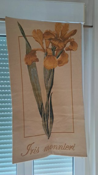 Tapiz Iris monnieri floral tela