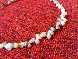 Choker conchiglie