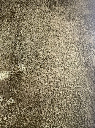 Alfombra verde pelo largo  sintético. No envío