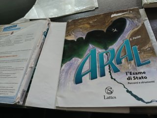 Aral. Con atlante. Con Esame di Stato. Per la S...