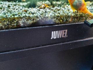 Acuario Juwel 180
