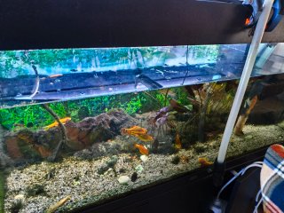 Acuario Juwel 180