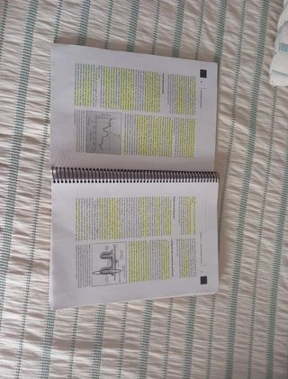Psicología del Lenguaje UNED