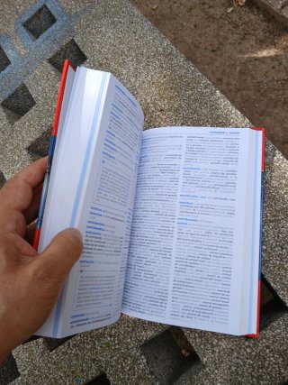 Larousse business dictionary english-spanish, e...