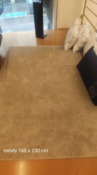 Alfombras diferentes estilos y tamaños desde 50€