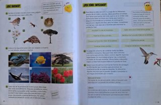 Proyecto: FanFest. Ciencias de la Naturaleza 3 ...