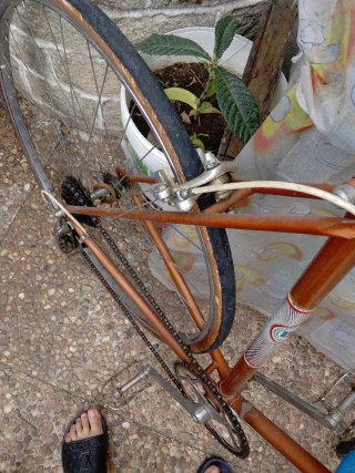 Bicicleta BH Clásica Naranja