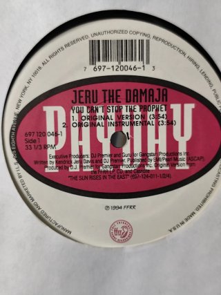 Vinilo Rap JerunThe Damaja - You Can't Stop The Pr