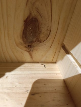 Caja de Madera Conde de los Andes