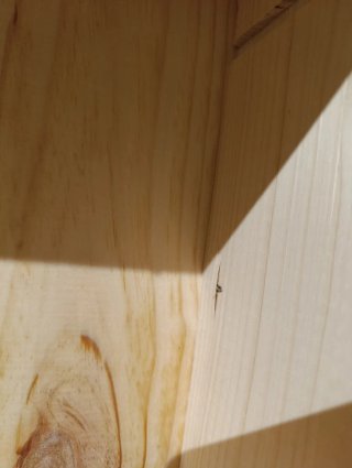 Caja de Madera Conde de los Andes