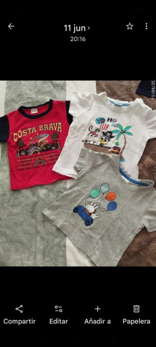 Lote Ropa Infantil 18-36 Meses