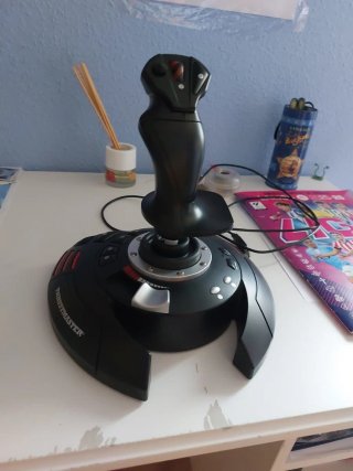 Thrustmaster T.Flight Stick X Joystick PC