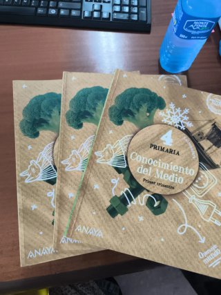 Lote libros 4° Primaria Anaya Inglés de Oxford