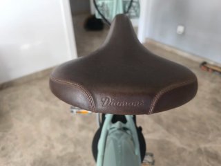 Bicicleta Eléctrica Diamant Juna Deluxe