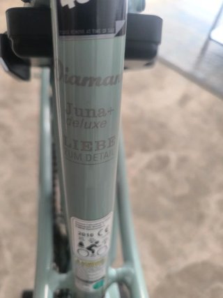 Bicicleta Eléctrica Diamant Juna Deluxe