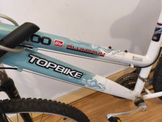 Bicicleta de Montaña
