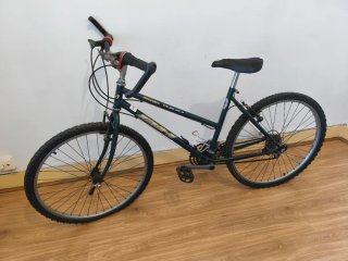 Bicicleta de Montaña