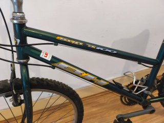 Bicicleta de Montaña