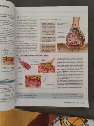 Anatomía Aplicada