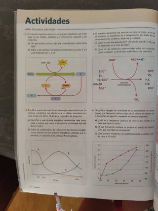Anatomía Aplicada