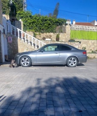 BMW Serie 3 2010