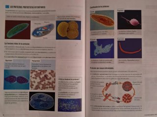 Biología Y Geología 1 Secundaria