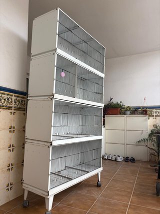 Jaulero modular de cría para pájaros 4 departament