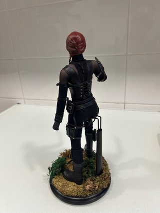 HOT TOYS ( CUSTOM) BLACK WIDOW