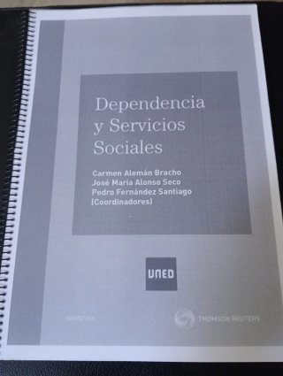 Dependencia de los servicios sociales