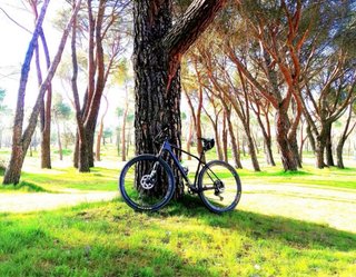 Bicicleta Orbea Carbono Montaña