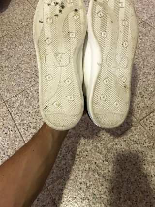 Scarpe Valentino Garavani n.42 Uomo