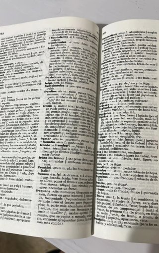 Diccionario ilustrado latín vox