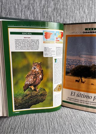Ecoguía de los espacios naturales de España
