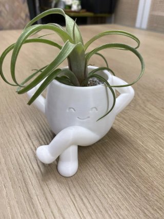 Vaso para suculentas
