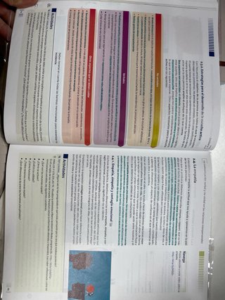 Habilidades sociales